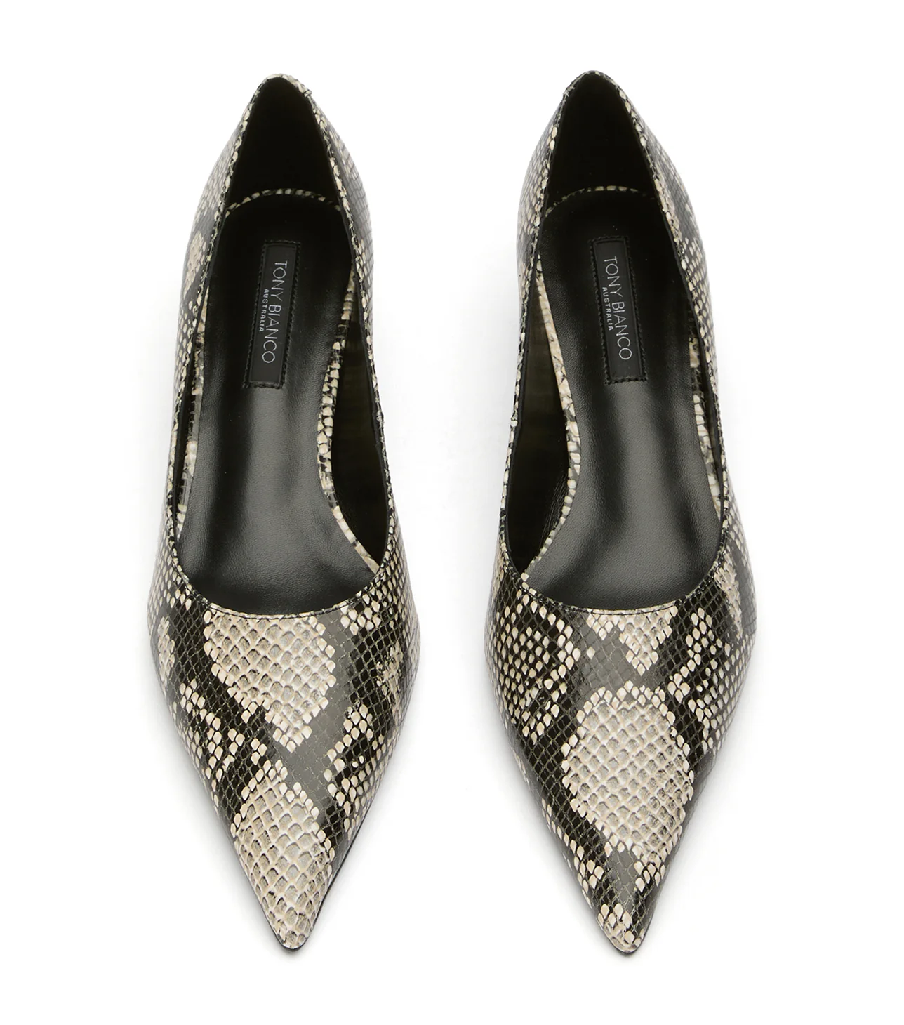 Cameo Ecru Snake - Image 6