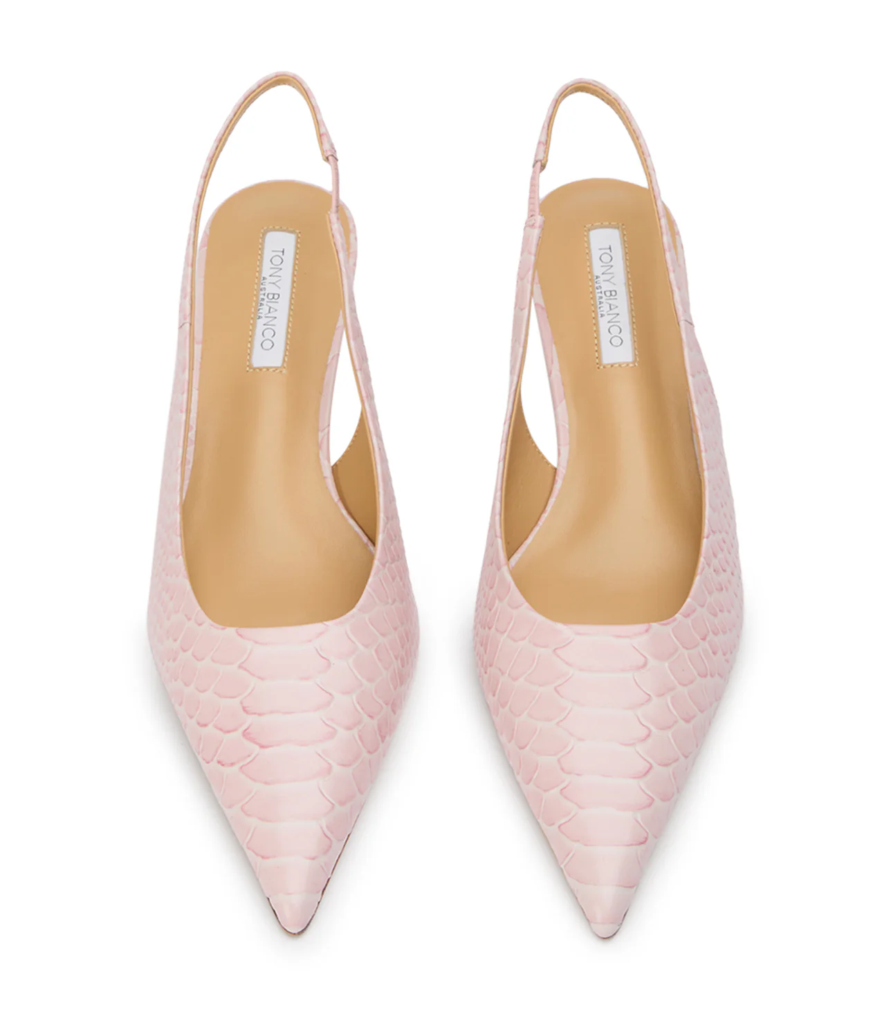 Catie Pink Python - Image 6