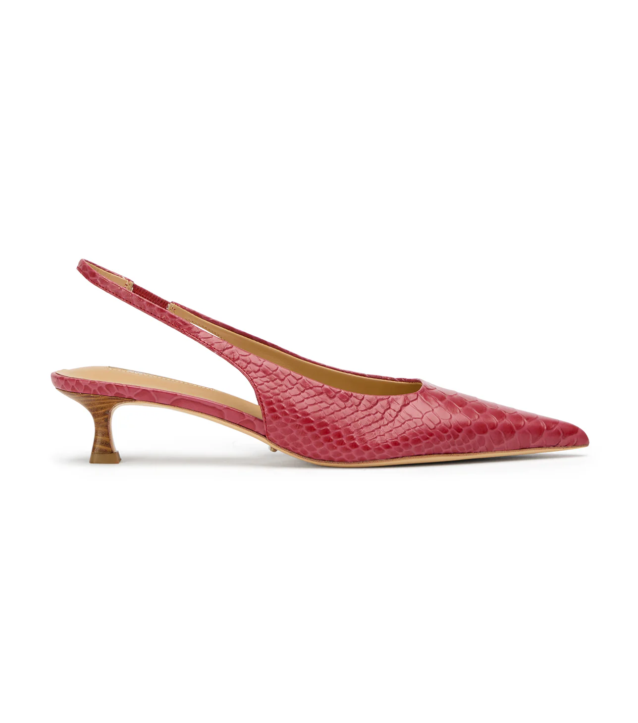Catie Scarlet Python - Image 4