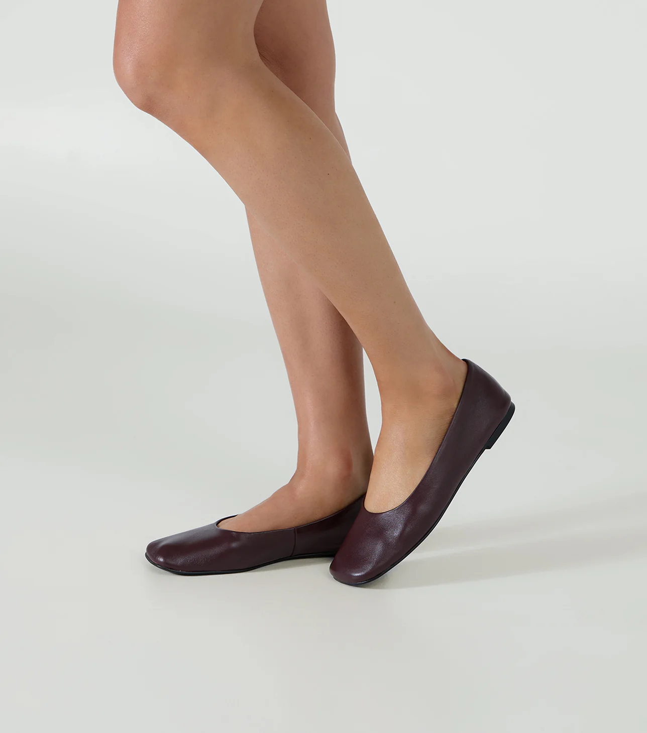 Celeste Vino Nappa - Image 5
