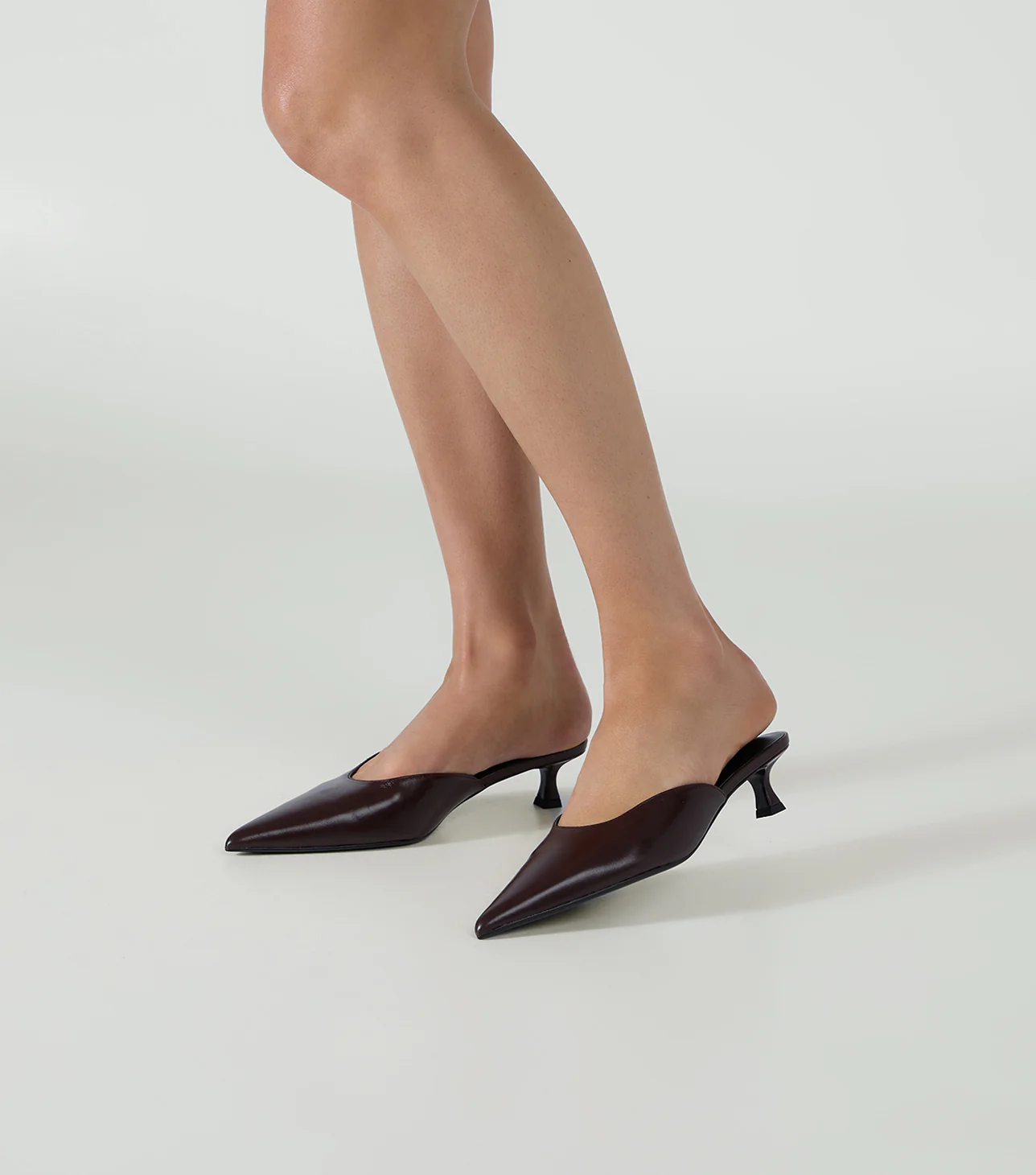 Collette Vestra Valencia - Image 5