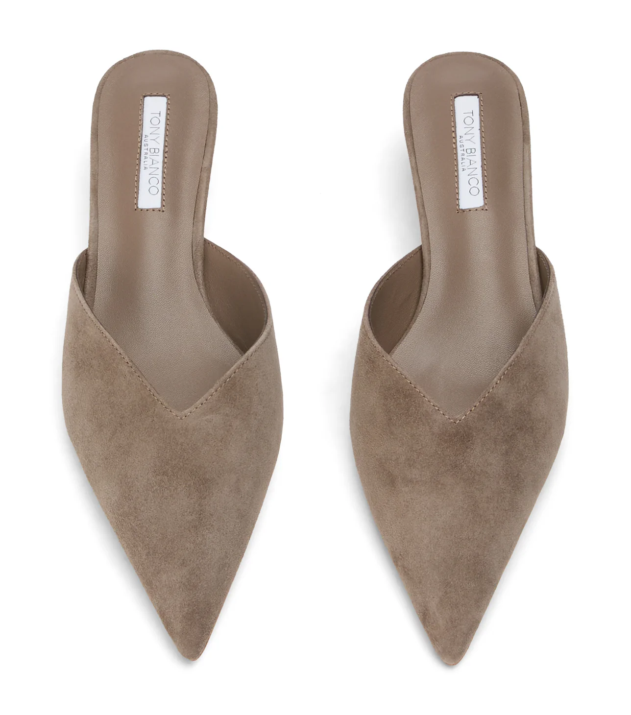 Connie Ashen Suede - Image 6