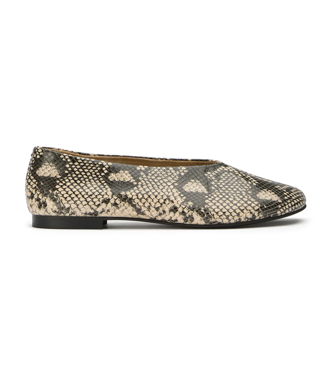Cuba Ecru Snake - Image 3