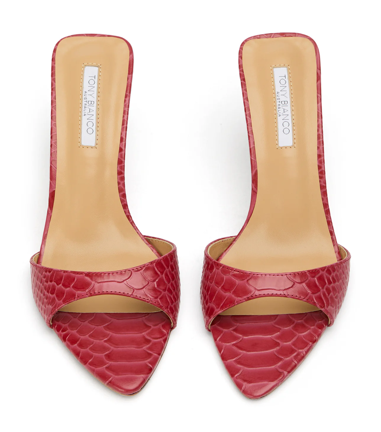 Hallie Scarlet Python - Image 6