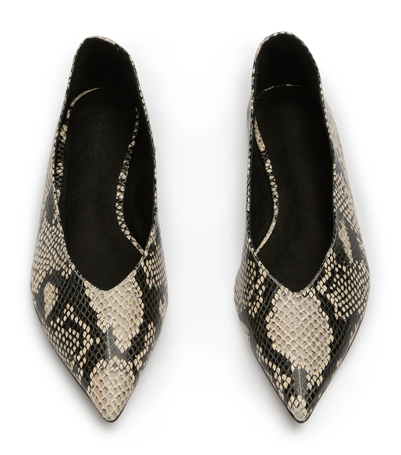 Joop Ecru Snake - Image 4