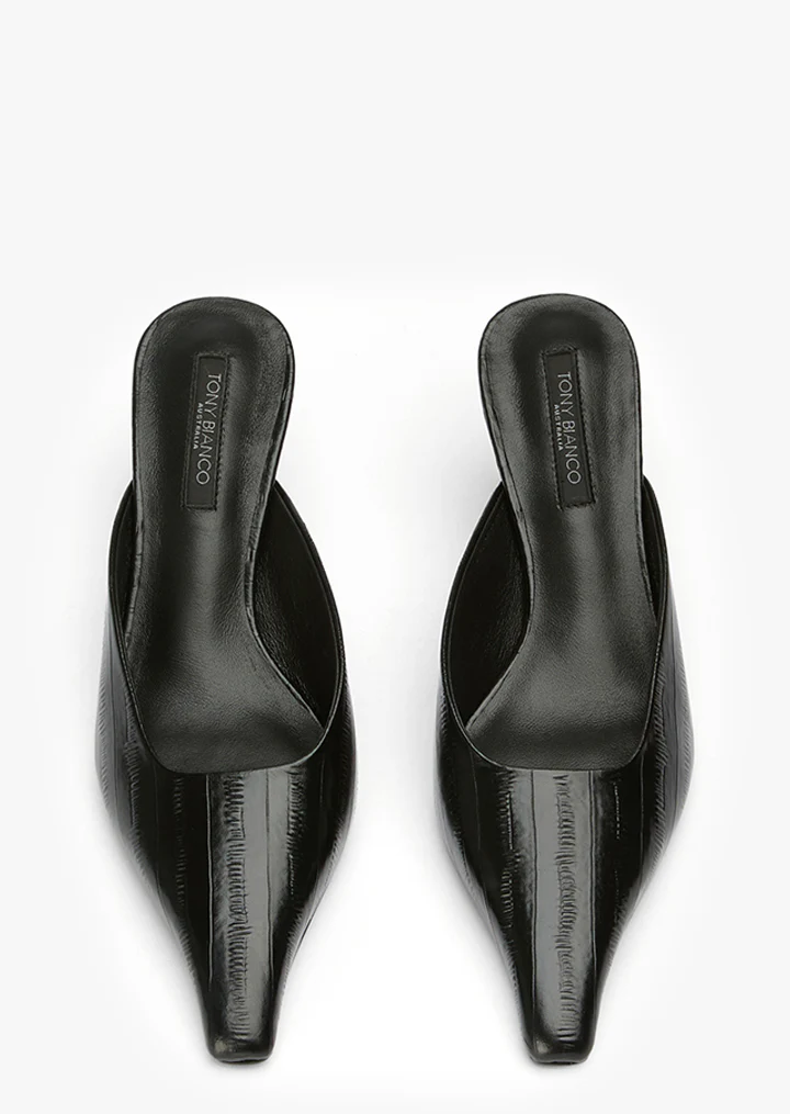 Juniper Black Anguille - Image 3