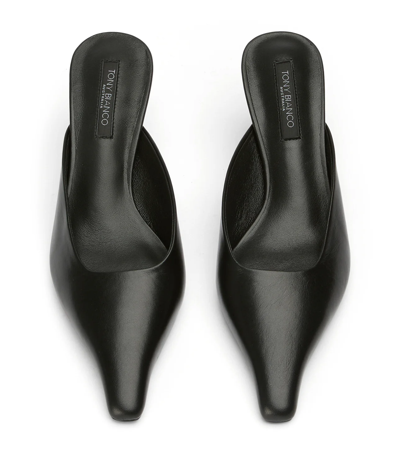 Juniper Black Venice - Image 6