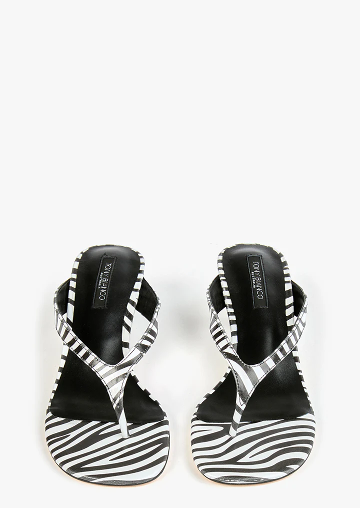 Krista Zebra - Image 2