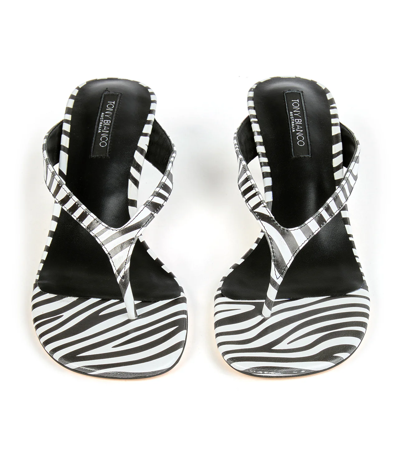 Krista Zebra - Image 4