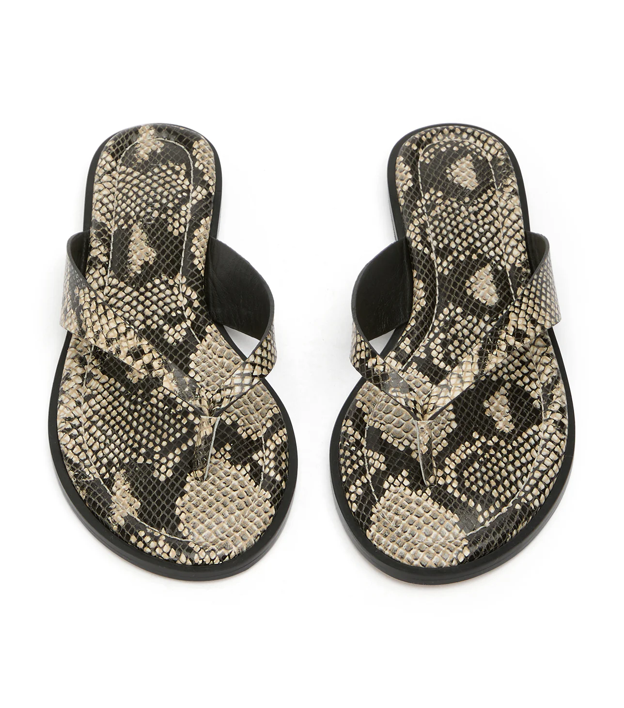 Sahara Ecru Snake - Image 4